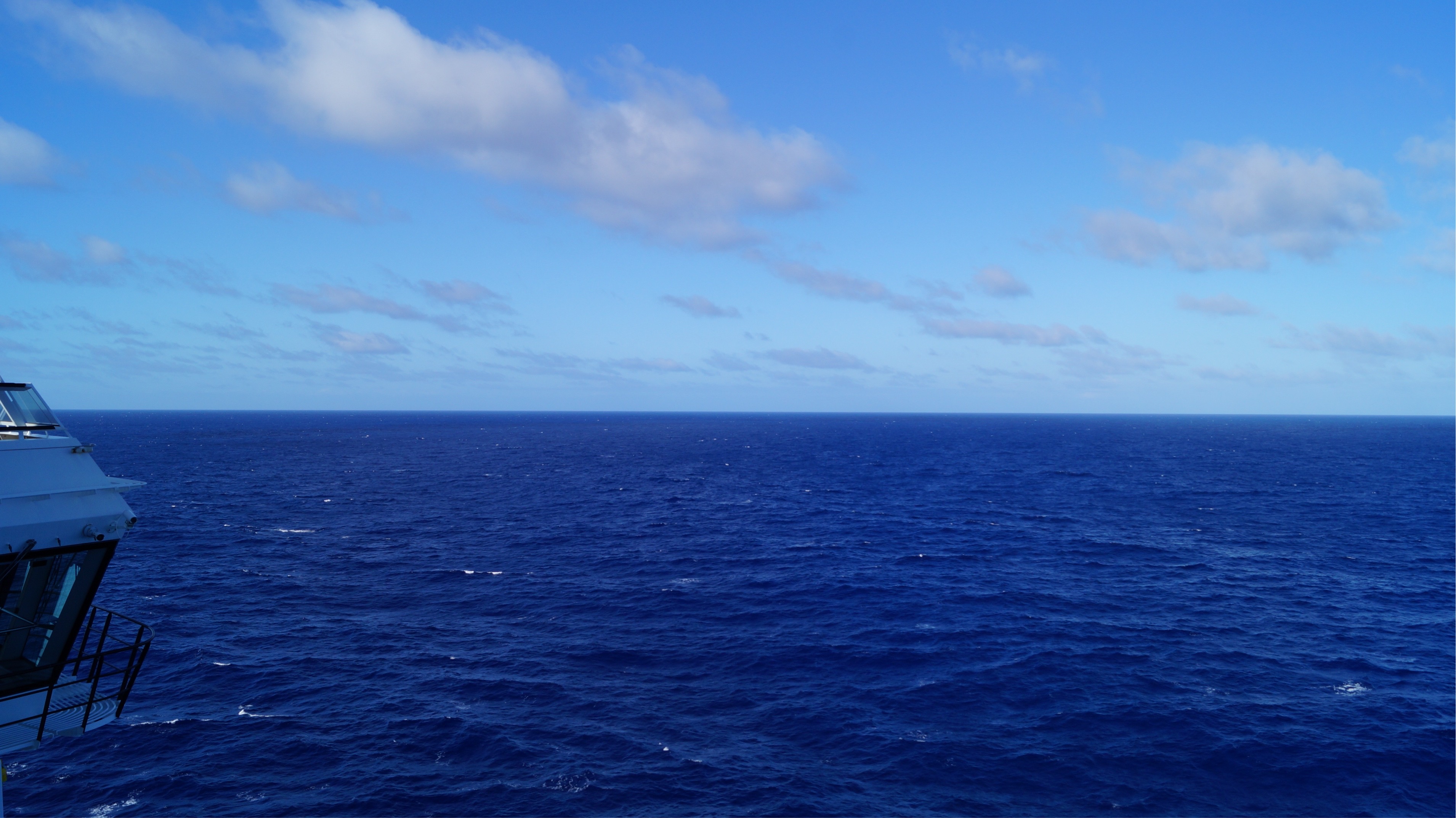 F1197503-762E-4983-8A61-231F32F2C4B8.jpeg